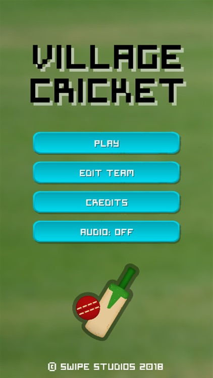 Village Cricket screenshot-4