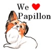 Adorable Papillon Dog Sticker