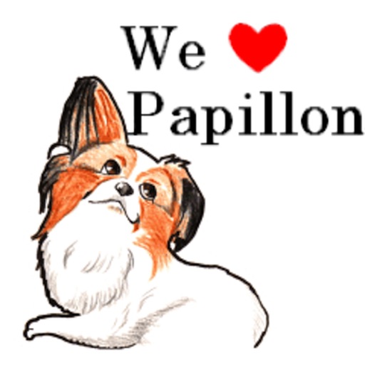 Adorable Papillon Dog Sticker icon