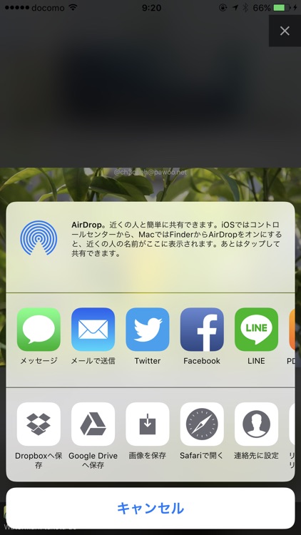 Ore2 for Twitter & Mastodon screenshot-3