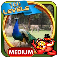 Activities of Open Zoo Hidden Objects Games