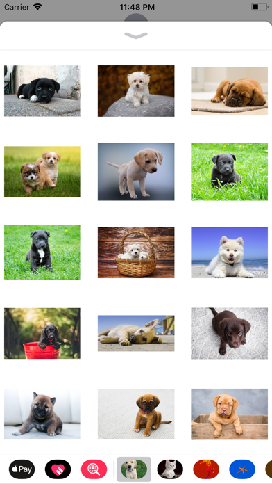 Puppy Sticker Pack screenshot 2
