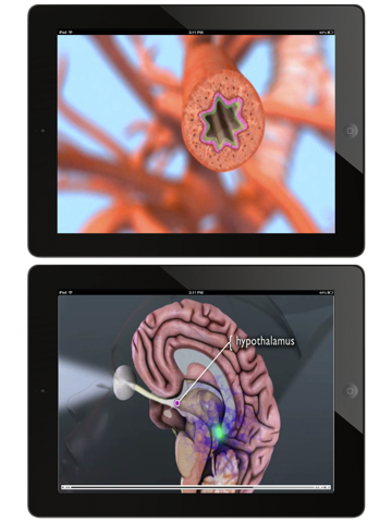 Animated Physiology & Anatomy screenshot 3