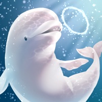 シロイルカ育成ゲーム（癒しのリラクゼーション編）