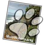 MultiWatermarks