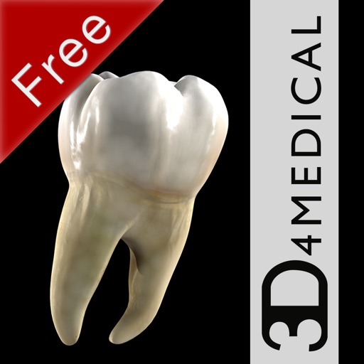 Dental Patient Education Lite icon
