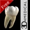 This is a Lite version of the Dental Patient Education app, developed in collaboration with Dr Brian Davey DDS