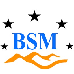 BSM CARGO