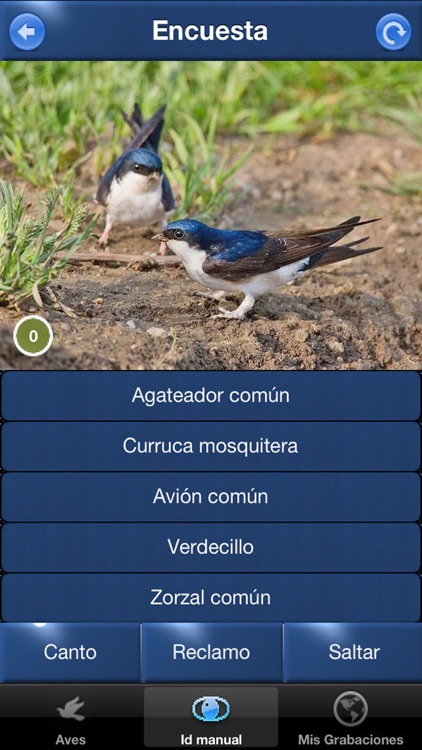 Cantos de Aves Id, guía para identificar pájaros screenshot-4