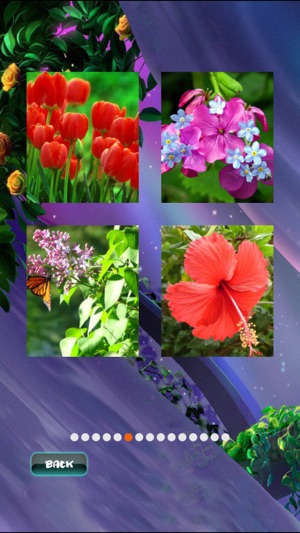 Spring Jigsaw Puzzles(圖4)-速報App