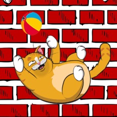 Activities of Kitty Cat Funny Game