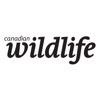 Canadian Wildlife Magazine