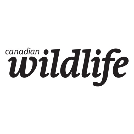 Canadian Wildlife Magazine