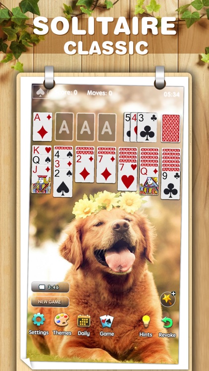 Solitaire Classic ◆ Card Game screenshot-3