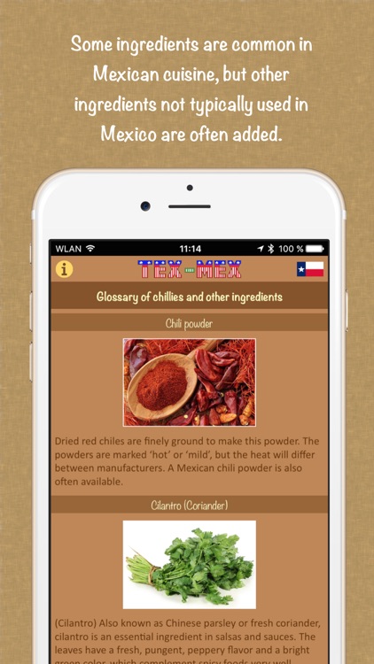 Tex-Mex Recipies