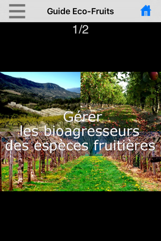 Eco-Fruits screenshot 4