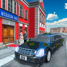 Activities of Luxury Wedding Car Simulator