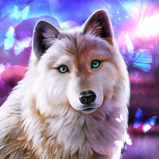 Activities of Hunter Wolf - Magic Animal Sim