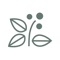 Beanlinked is a worldwide social networking app for the coffee industry