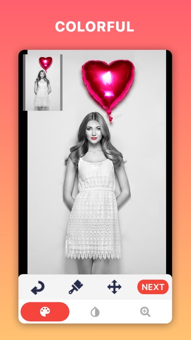PHOTO FILTERS - PICTURE EDITOR 1.0.1 IOS