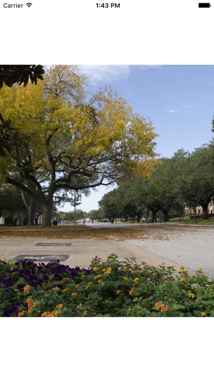 Prairie View A&M University