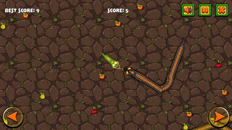 SnakeAttack - happy game screenshot-4