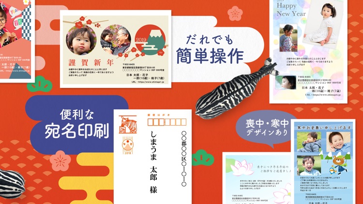 年賀状 しまうま年賀2019