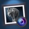 Turn your favorite photos into black and white works of art with this photography app