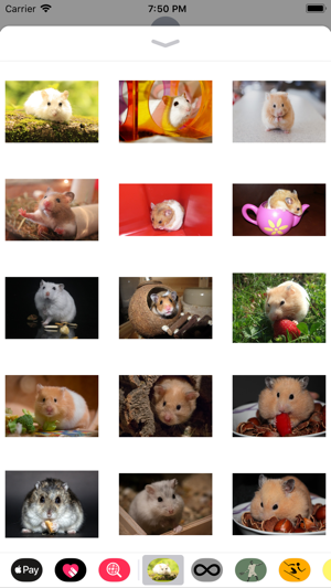 Hamster Sticker Pack(圖1)-速報App