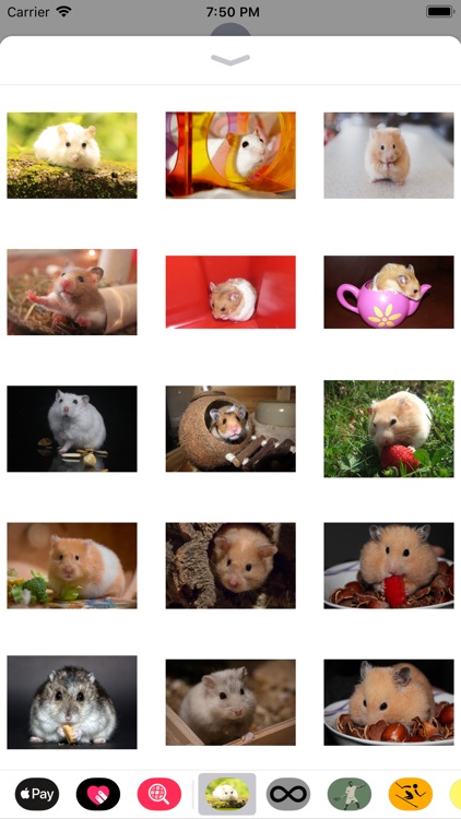 Hamster Sticker Pack