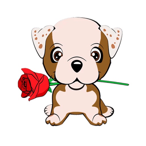 Lovely puppy - Cute dog
