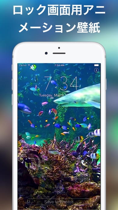 ロック画面用の水族館ライブ壁紙 Catchapp Iphoneアプリ Ipad
