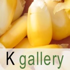 Top 19 Reference Apps Like K gallery - Best Alternatives