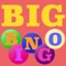 BigBingo is a Bingo game, as Bingo was meant to be played