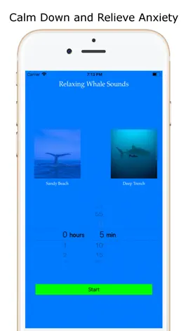 Game screenshot Calm Relaxing Whale Sounds HD hack