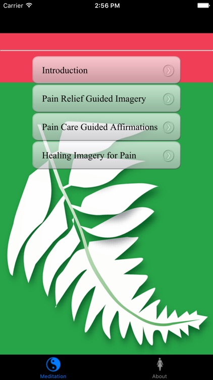 General Pain Management Guided Imagery