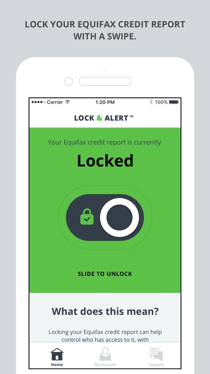 Lock & Alert™