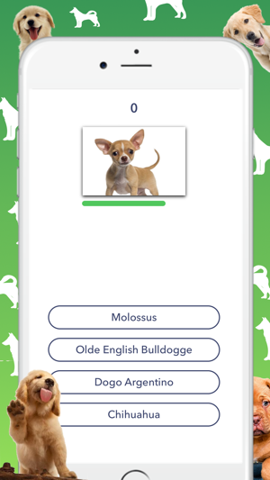 Dog Quiz - Which dog is that?(圖3)-速報App