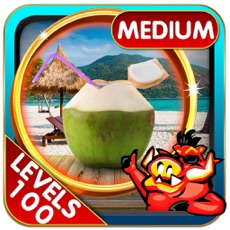 Activities of Seaside Hidden Objects Games