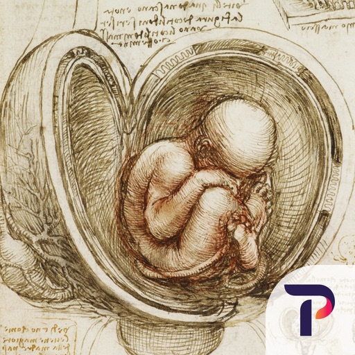 Leonardo da Vinci: Anatomy