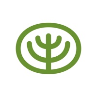 케이크솝 - cakesoap PC 용