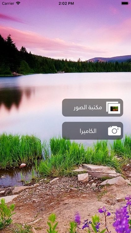 باستا - مُصمم الصور screenshot-4