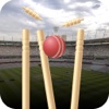 Real Cricket Championship 3d