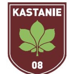 Kastanie 08