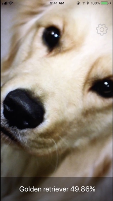 Dog Identifier- Dog ID Camera screenshot 2