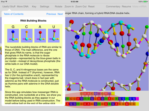 OnScreen Gene Transcription screenshot 3