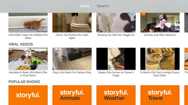 Storyful Cat Clips(圖5)-速報App