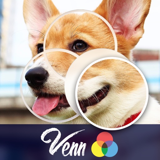 Venn Dogs: Jigsaw Puzzle iOS App