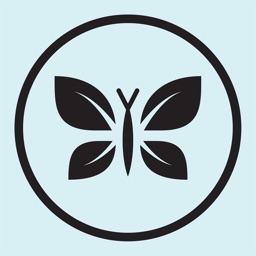 The Honest Company