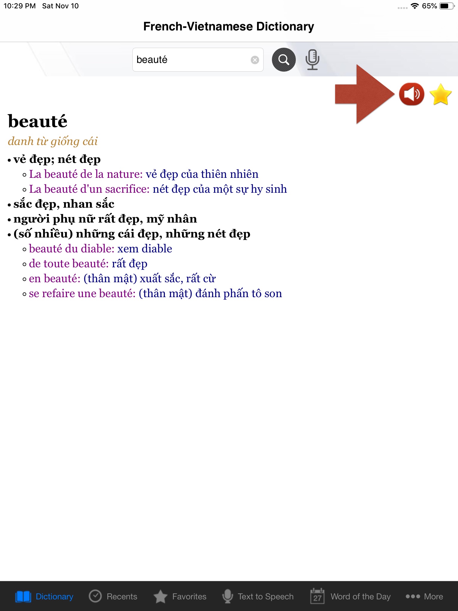 French-Vietnamese Dictionary screenshot 2